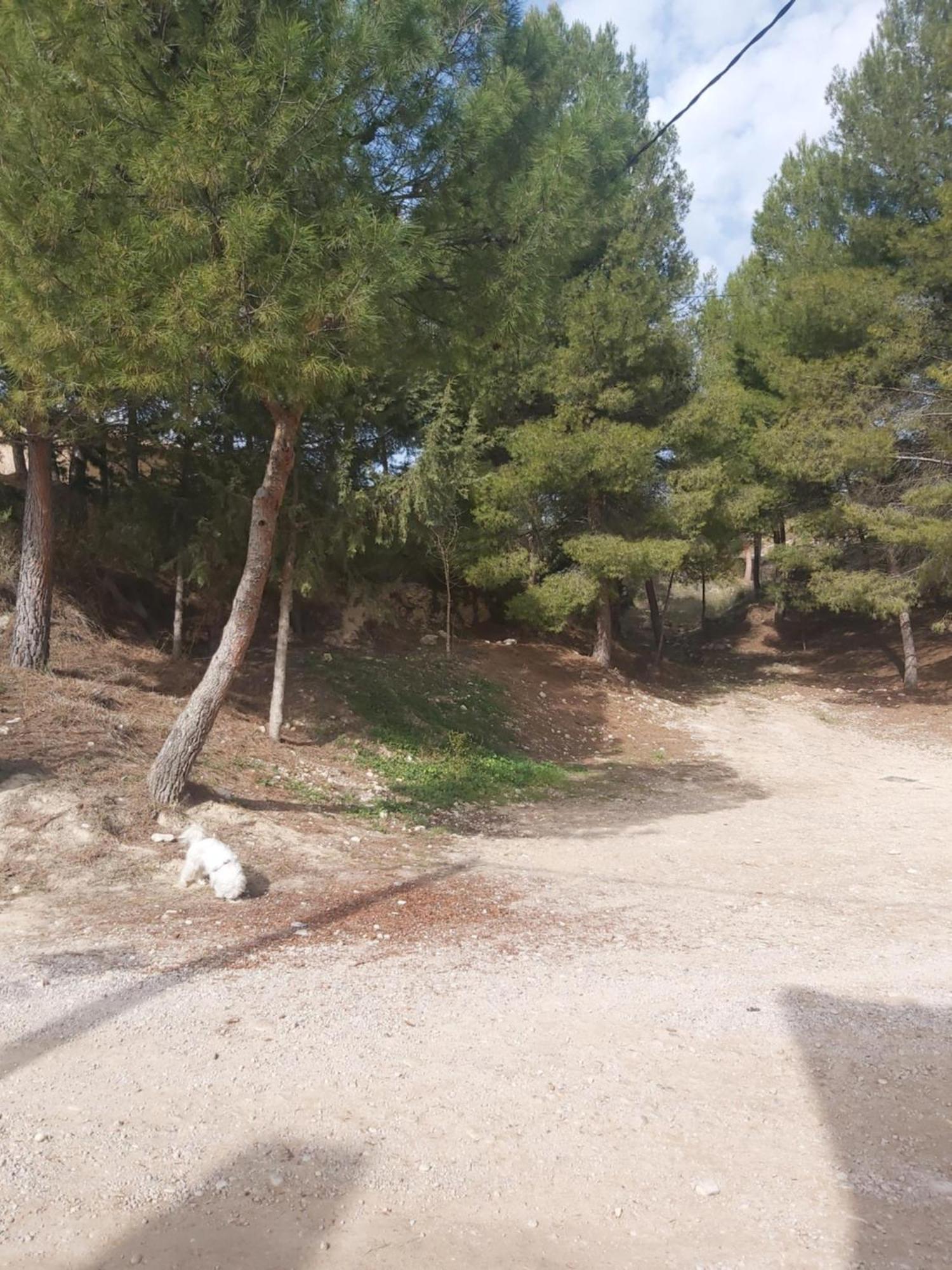 Casa Rural Puente Del Segura Elche de la Sierra Eksteriør billede