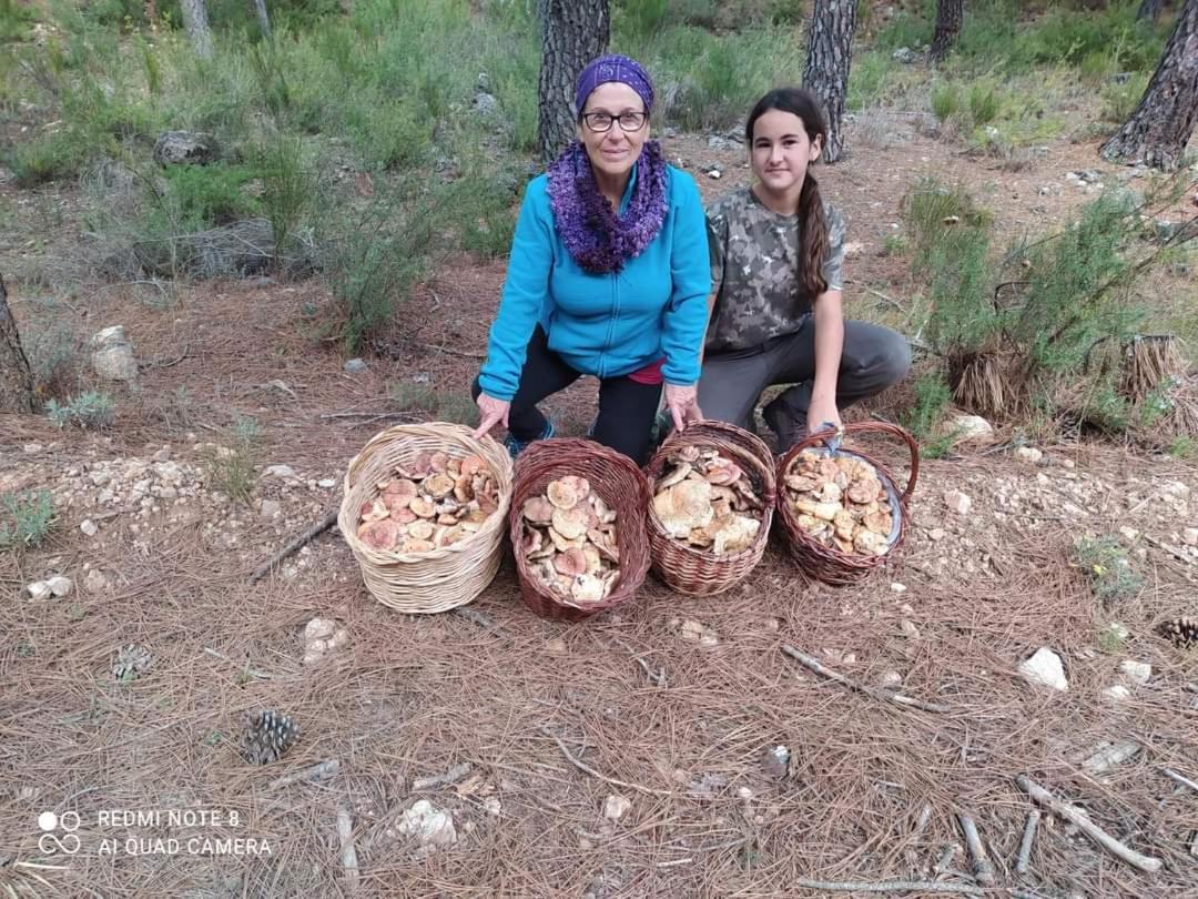 Casa Rural Puente Del Segura Elche de la Sierra Eksteriør billede